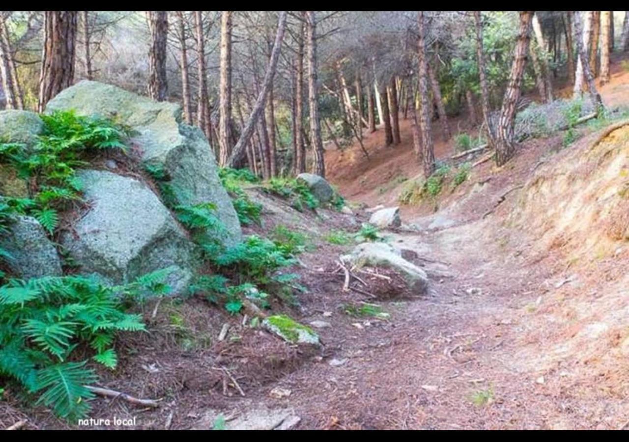 Vilassar De DaltCosta Maresme, Barcelona ,Valentinos House & Pool别墅 外观 照片